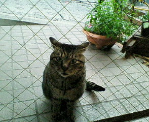 200703172248000.jpg