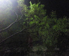 200705020023000.jpg