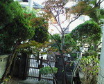 200707190125000.jpg