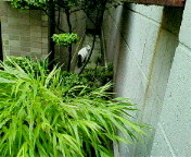 image/sayamayumi-2006-11-24T23:45:49-1.jpg