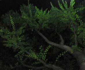 200707182343000.jpg